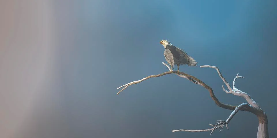 Eagle perched on a branch Stock Illustration