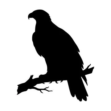 Eagle perched on tree branch silhouette vector illustration Illustrazione stock