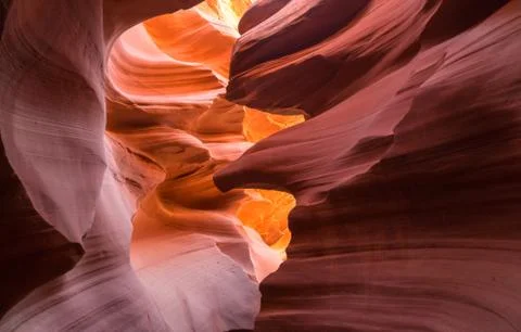 The Eagle Stock Photos