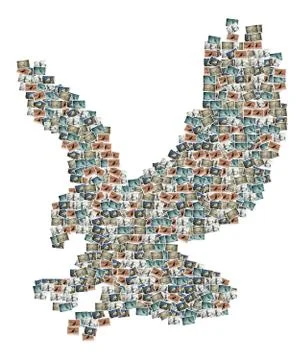 Eagle pictures collage Stock Illustration