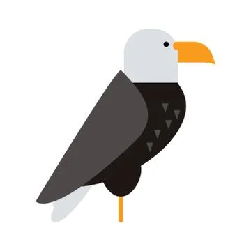 Eagle raptor wildlife bird vector Stock Illustration