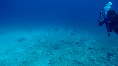 Eagle ray swims along the bottom in the waters off Cancun. Stock Footage 96473261