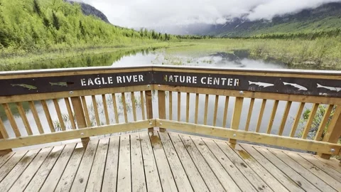 Eagle River Nature Center Viewing Deck Stock Footage 279339736