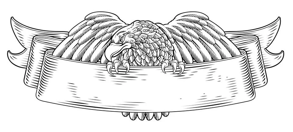Eagle Scroll Symbol Crest Banner Parchment Design Illustration