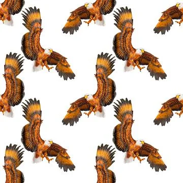 Eagle seamless pattern on a white background. 스톡 사진