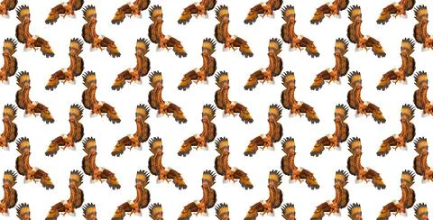 Eagle seamless pattern on a white background. 写真素材