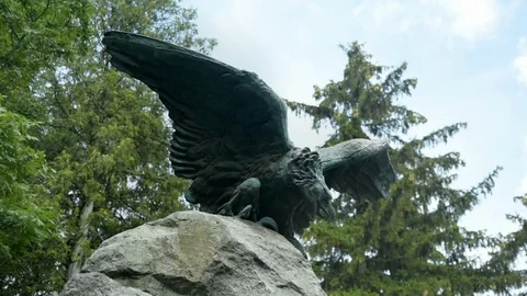 Eagle see 스톡 동영상 115032264