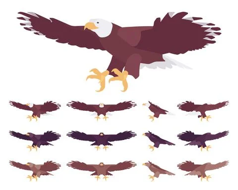 Eagle set, large powerful bird with massive wings in flight Stock Illustration