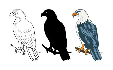 Eagle set or collection vector Illustration. Stock Illustration