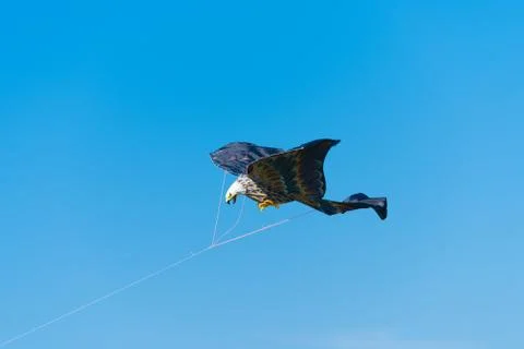 Eagle shaped kite Stock Photos