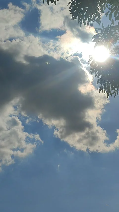 Eagle shaped kite in the sky Stock Footage 202267084