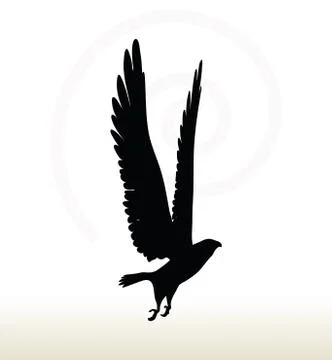 Eagle silhouette Illustrazione stock