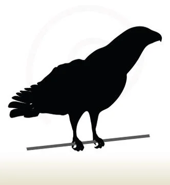 Eagle silhouette Illustrazione stock