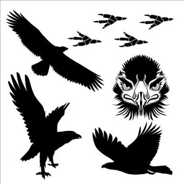 Eagle silhouette Stock Illustration
