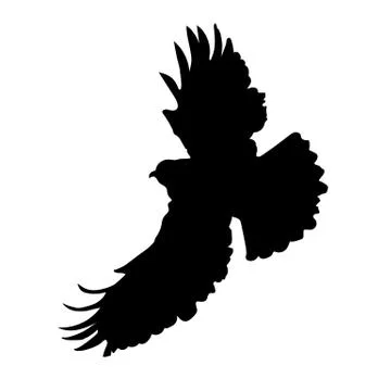 Eagle Silhouette Stock Illustration