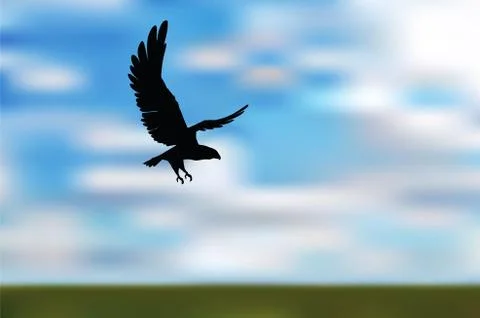 Eagle silhouette Illustrazione stock