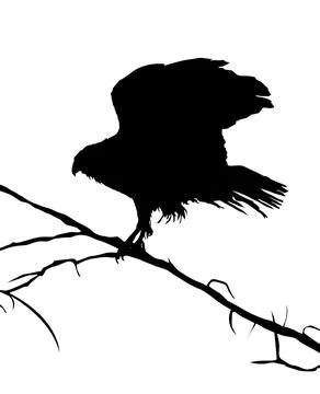 Eagle silhouette on a tree vector objects over white background Stock Illustration