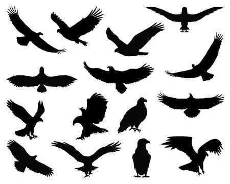 EAGLE SILHOUETTE VECTOR ART Stock Illustration