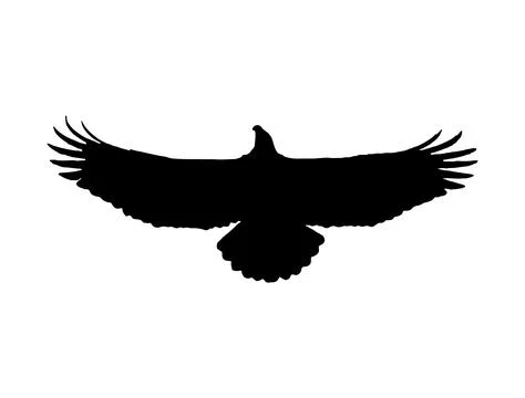 Eagle silhouette vector art Stock Illustration