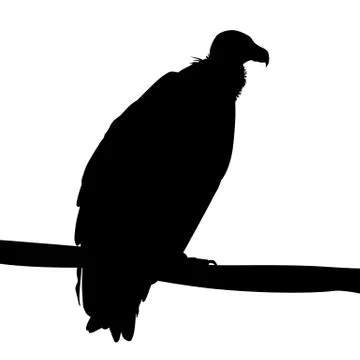 Eagle silhouette on white background Stock Illustration