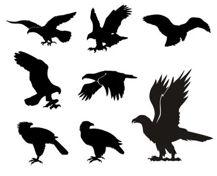 Eagle silhouettes Stock Illustration