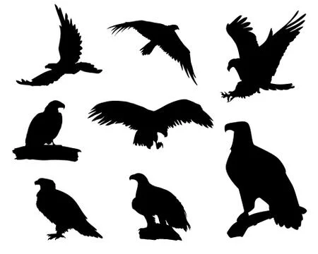 Eagle silhouettes Stock Illustration