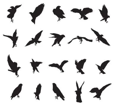 Eagle silhouettes set Illustrazione stock