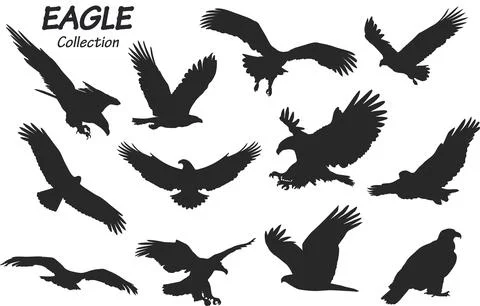 Eagle silhouettes set 스톡 일러스트