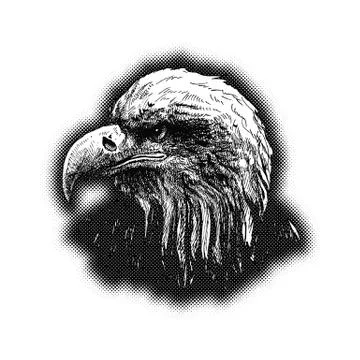 Eagle Silhouettes Vector Stock Illustration