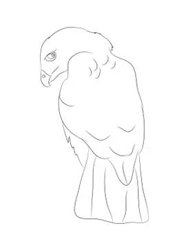 Eagle sits, lines, vector Illustrazione stock