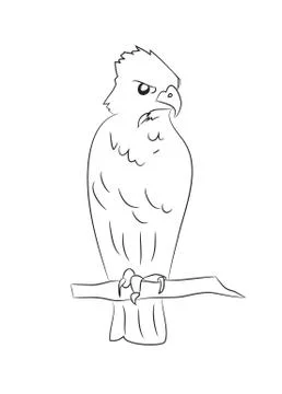 Eagle sits, lines, vector Stock Illustration
