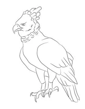 Eagle sits, lines, vector Illustrazione stock