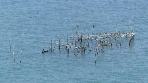 An eagle sitting on a abandoned fish trap by in the sea in Malaysia Stock Photos
