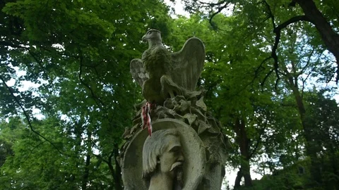Eagle sitting on a monument in a cemetery Stock Footage 115033396