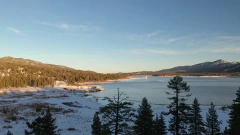 Eagle Sitting on top of Tree with snowy lake in the background Vídeo Stock 150775157