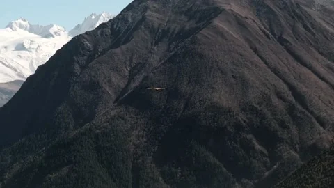 Eagle soaring flying. Eagle soars above the mountains Stock Footage 144862743