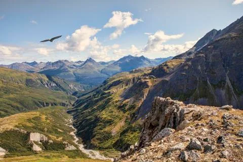 Eagle soaring over high elevation mountains in Canada Stock Photos