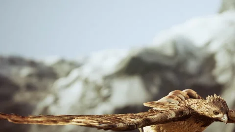 Eagle soaring over mountains with wings spread wide in bright sunlight Stock Footage 344136986