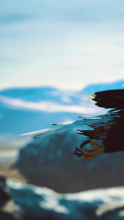 Eagle soaring over a stunning mountain landscape at golden hour Stock Footage 335234078