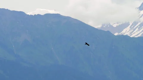 Eagle soaring in sky over snow capped mountain range Stock Footage 344179342