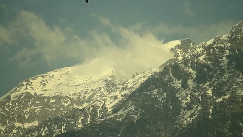 Eagle soars againsts mountain realtime 4 Video stock 102778522