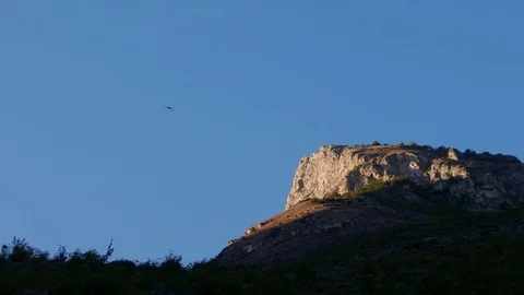 Eagle soars high in the sky Stock Footage 69839846