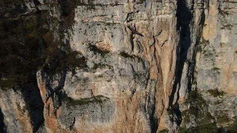 The eagle soars over the rocks Stock Footage 170904188