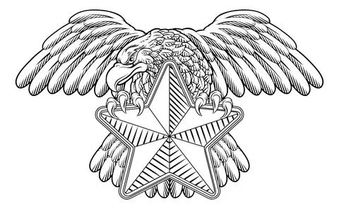 Eagle Star Symbol Crest Banner Parchment Design Illustration