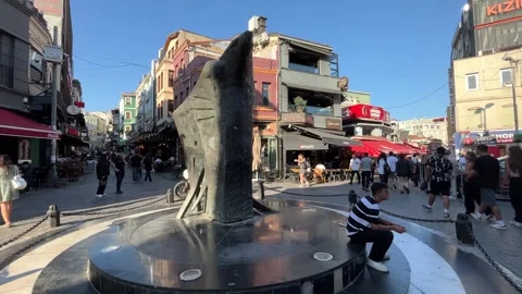 Eagle Statue at Besiktas Bazaar Square Stock Footage 319511771