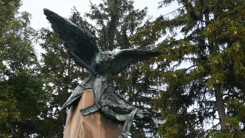Eagle statue 스톡 동영상 115032065