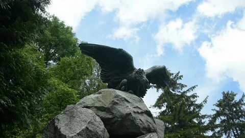 Eagle statue 스톡 동영상 115032182