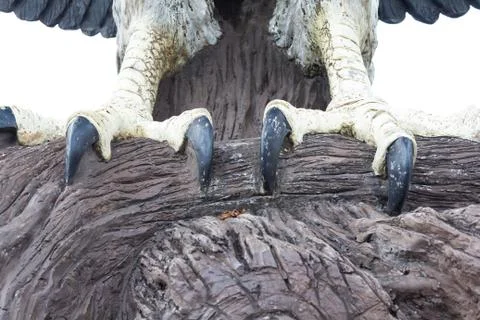 Eagle statue Stock Photos
