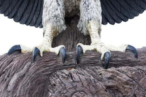 Eagle statue Stock Photos