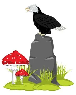 Eagle on stone Stock Illustration